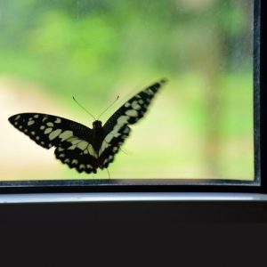 Trasparenza con i clienti, OK di EUROSIF per Etica Sgr