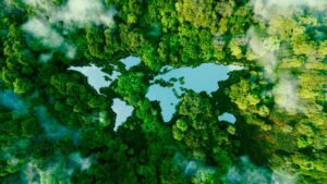 Overshoot Day 2024, il 1° agosto la Terra esaurisce le risorse dell’intero anno Overshoot Day 2024, il 1° agosto la Terra esaurisce le risorse dell’intero anno