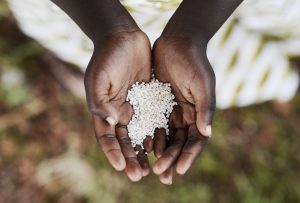 Fame nel mondo e insicurezza alimentare, piaga per 124 milioni di persone Fame nel mondo e insicurezza alimentare, piaga per 124 milioni di persone
