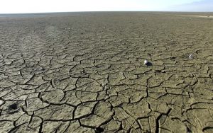 Fame nel mondo, urgente arrestare il cambiamento climatico Fame nel mondo, urgente arrestare il cambiamento climatico