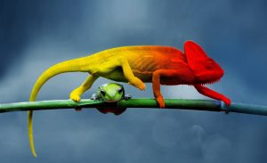 Il Salone del Risparmio 2018 – Etica Sgr vi aspetta allo stand Il Salone del Risparmio 2018 – Etica Sgr vi aspetta allo stand