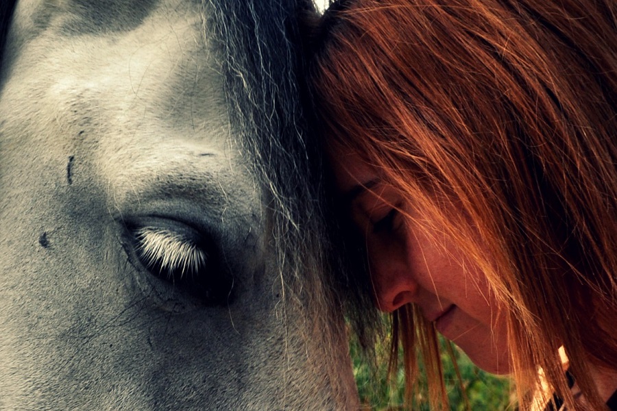 Centro ippico per iniziativa crowdfunding Etica Sgr