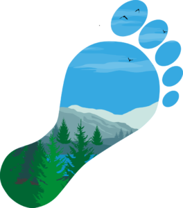 Carbon Footprint 2018