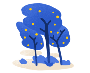 Foresta