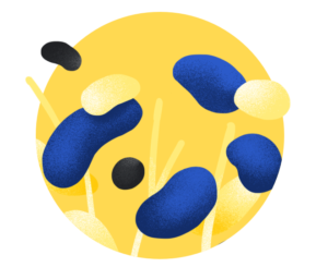 fondo etica obbligazionario a breve termine