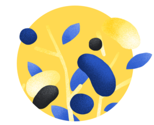 fondo etica obbligazionario misto