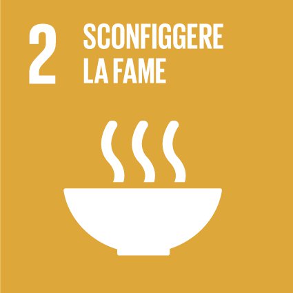 SDG 2