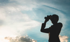 Sustainable and responsible funds: increasingly more institutional investors Sustainable and responsible funds: increasingly more institutional investors