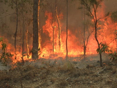 incendi-in-australia