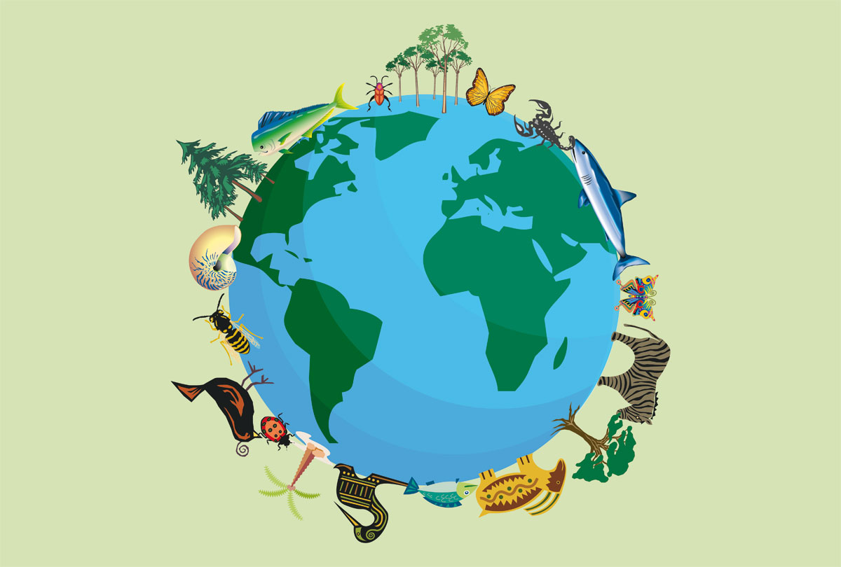 La biodiversità entra negli investimenti sostenibili e responsabili - Etica  Sgr