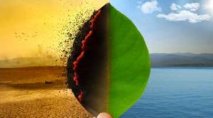 Ripresa economica dopo il Coronavirus: quali ricette possibili a impatto ambientale positivo?