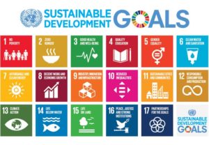 Investimenti ESG | Il rapporto dell’ONU Investimenti ESG | Il rapporto dell’ONU