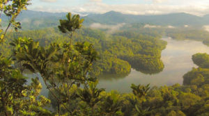 Biodiversidad: Etica Funds firma el compromiso (Finance for Biodiversity Pledge)