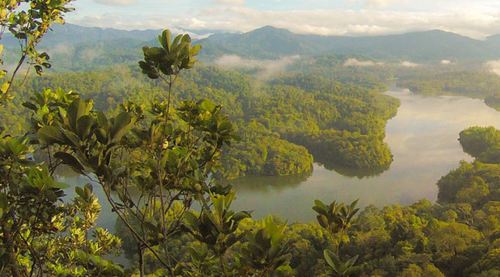 Etica Funds signs the Finance for Biodiversity Pledge