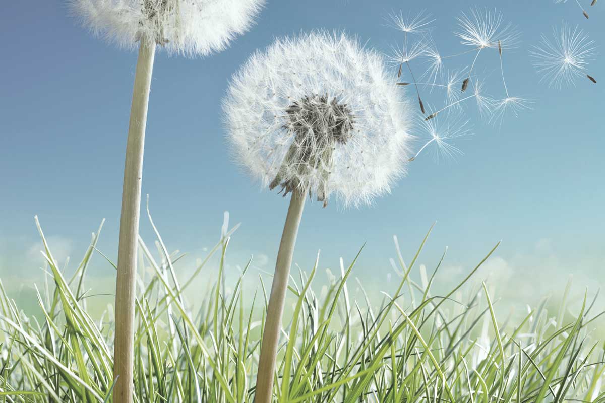 Investimenti sostenibili per contrastare il cambiamento climatico