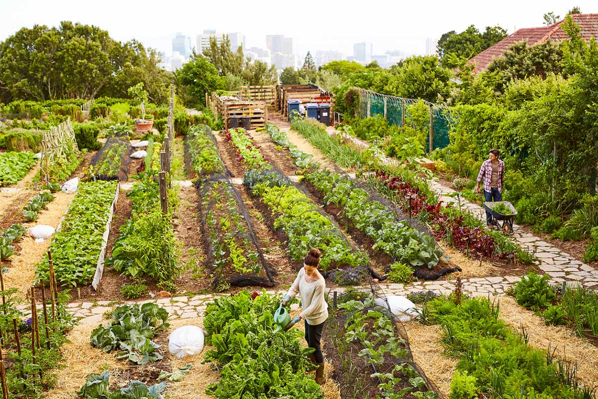 tassonomia verde ue - giardino urbano, orto urbano