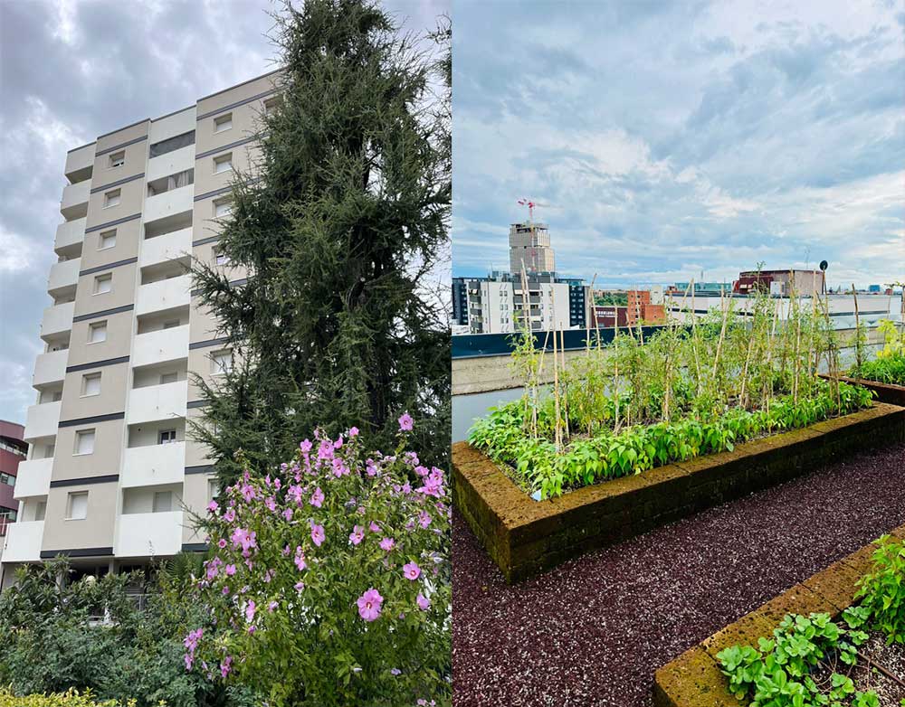 ricehouse via russoli