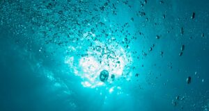 La Blue economy è decisiva per un futuro sostenibile La Blue economy è decisiva per un futuro sostenibile