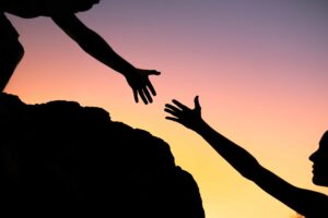 Asset management companies: what are they and how do they work? Asset management companies: what are they and how do they work?