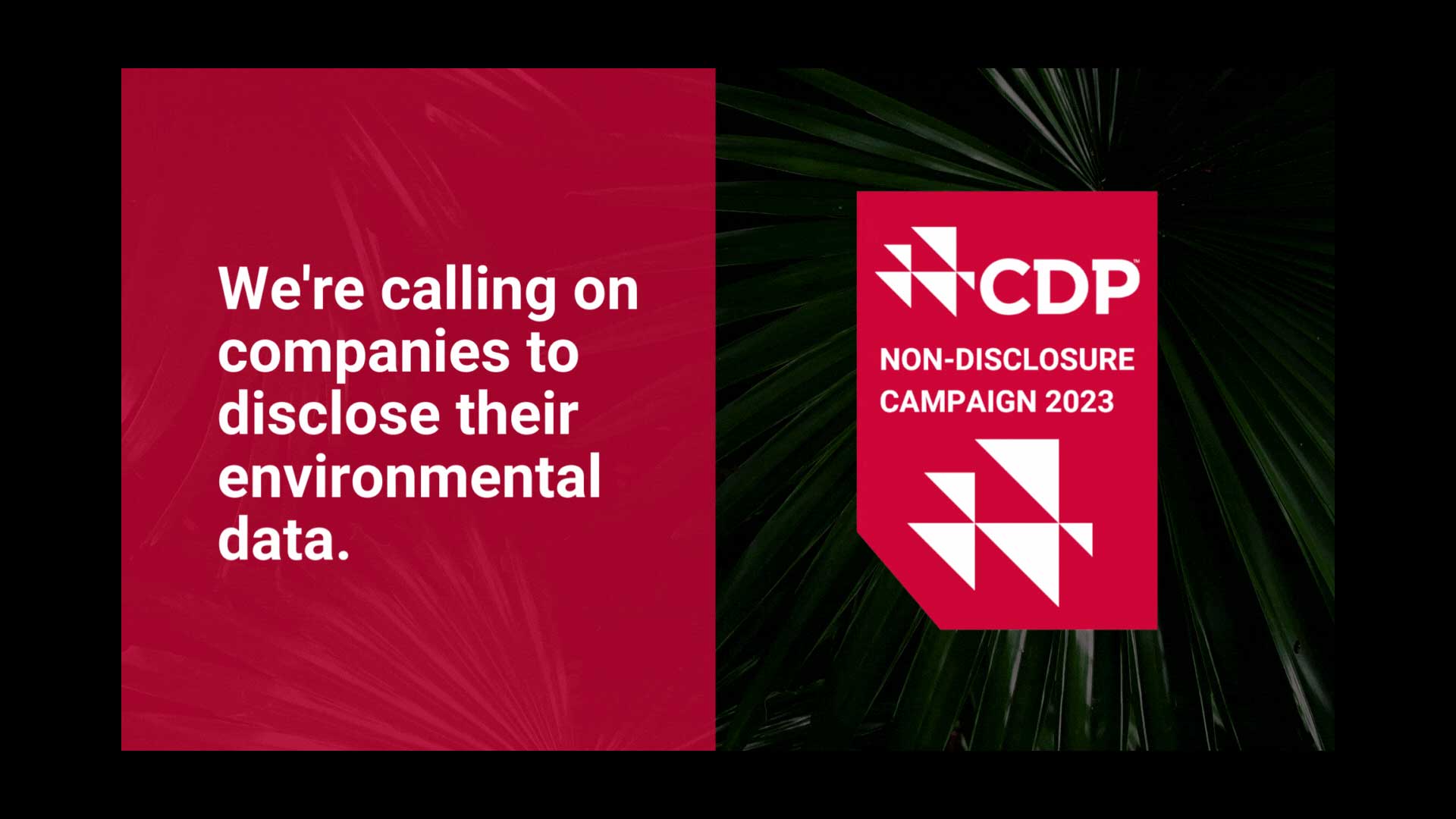 cdp trasparenza ambientale