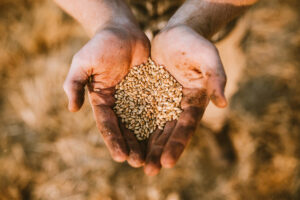 Materie prime e finanza: che cosa non quadra e perché Materie prime e finanza: che cosa non quadra e perché