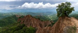 Etica Funds endorses PRI’s campaign to safeguard biodiversity Etica Funds endorses PRI’s campaign to safeguard biodiversity