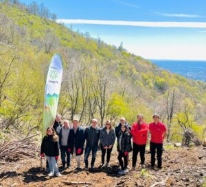riforestazione