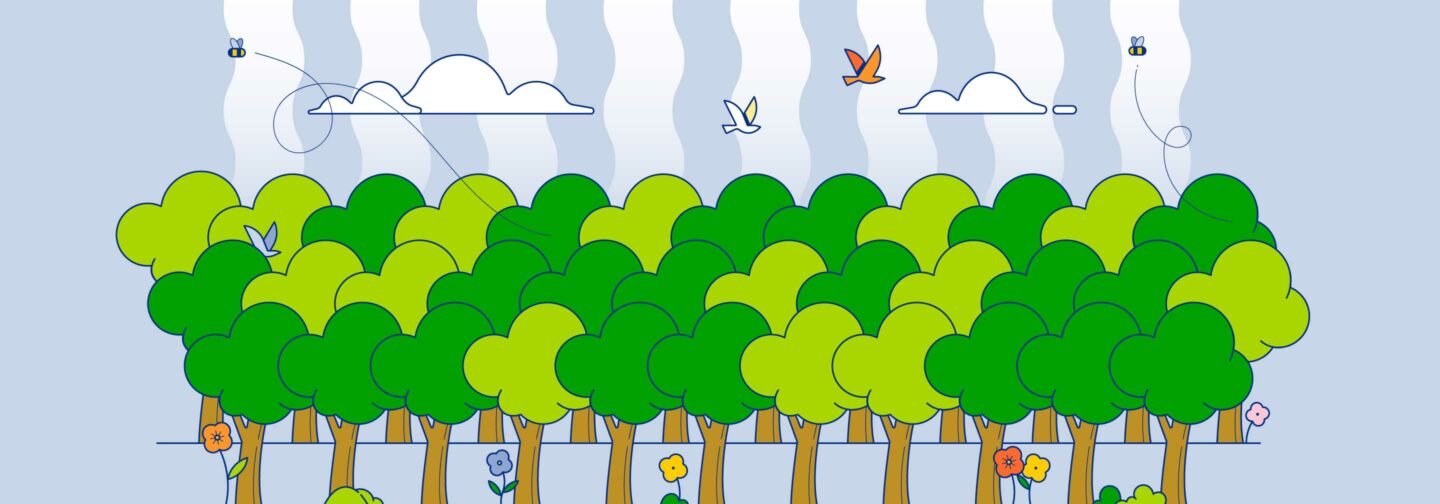 CarbonFootprint2025