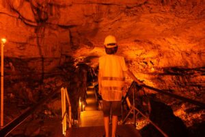 Sostenibilità sociale e ambientale nella supply chain: una priorità globale