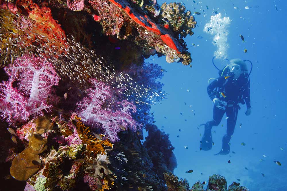 Giornata mondiale degli Oceani