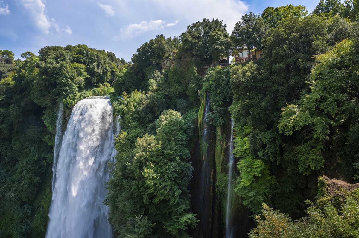 tutela ambientale e valore economico