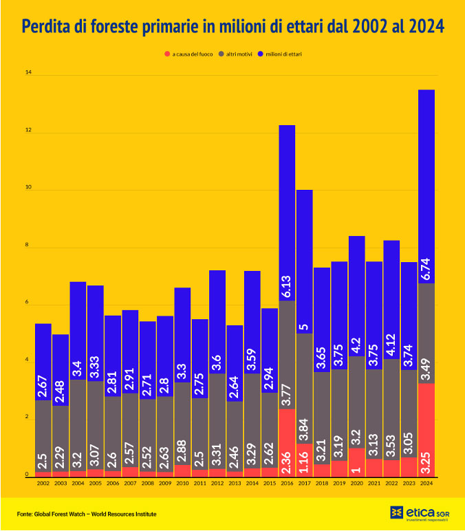 Grafico sulla perdita di foreste primarie dal 2002 al 2024: trend della deforestazione globale e contesto del Belém Investor Statement
