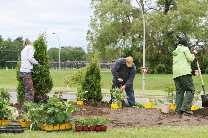 Cittadini che piantano alberi - rigenerazione urbana Cittadini che piantano alberi - rigenerazione urbana