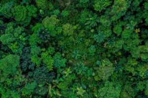 State of Finance for Nature 2026: investire nella natura per rafforzare l’economia globale State of Finance for Nature 2026: investire nella natura per rafforzare l’economia globale